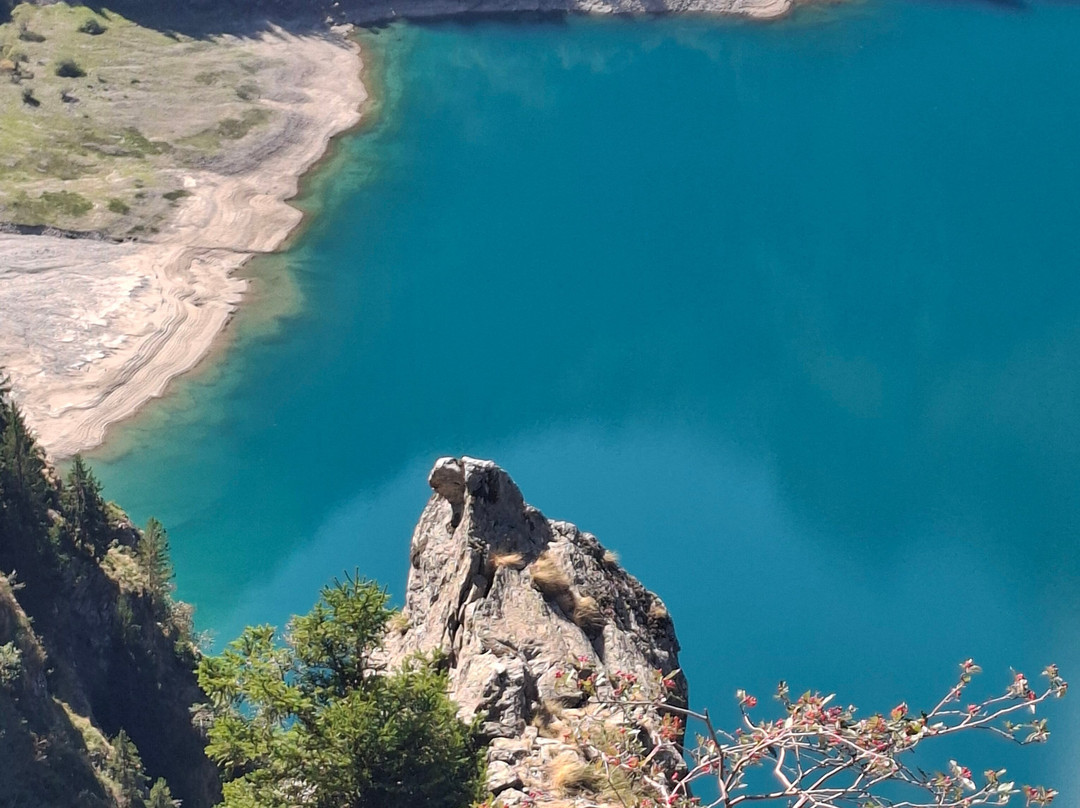 Lac du Lauvitel-Vénosc必去景点
