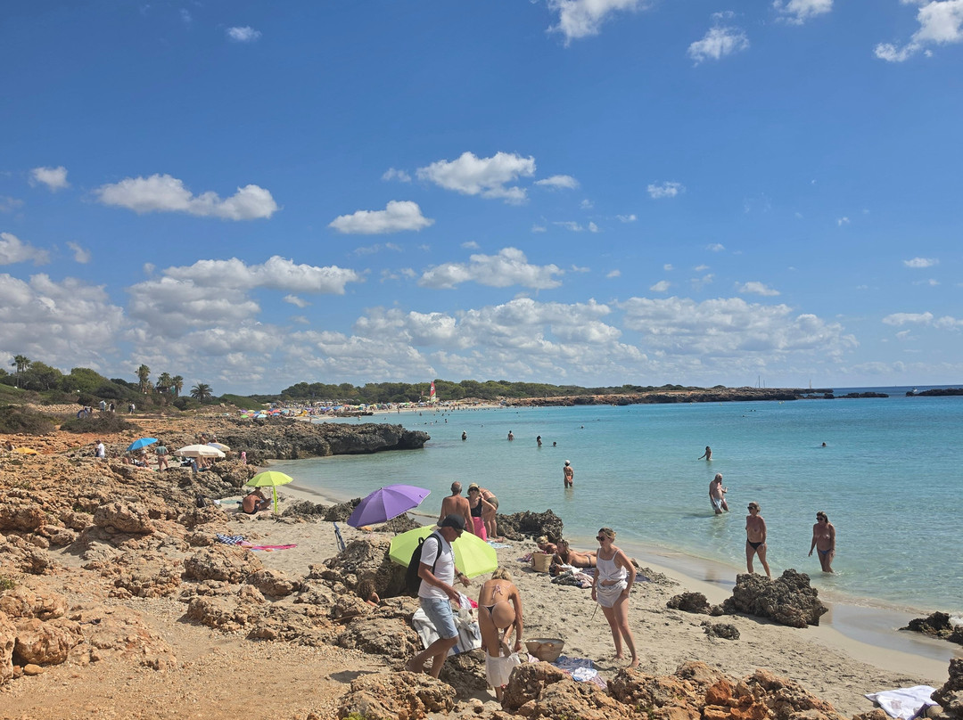 Platja de Son Xoriguer-卡兰博希必去景点