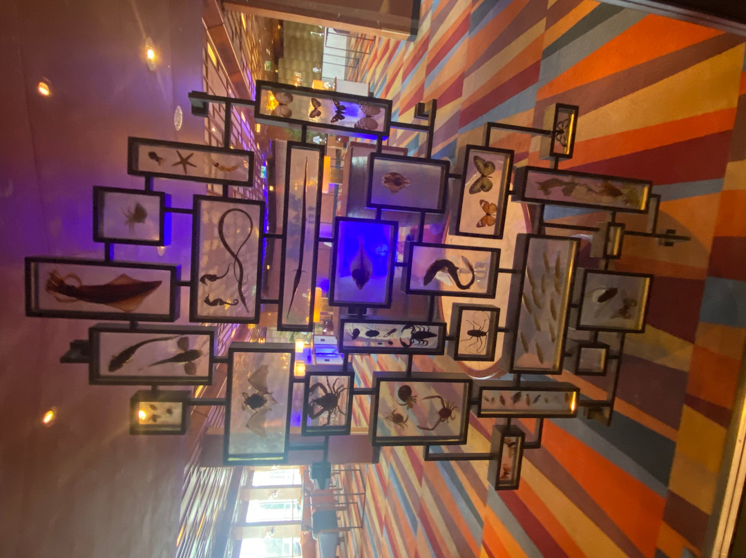 ss鹿特丹酒店主图