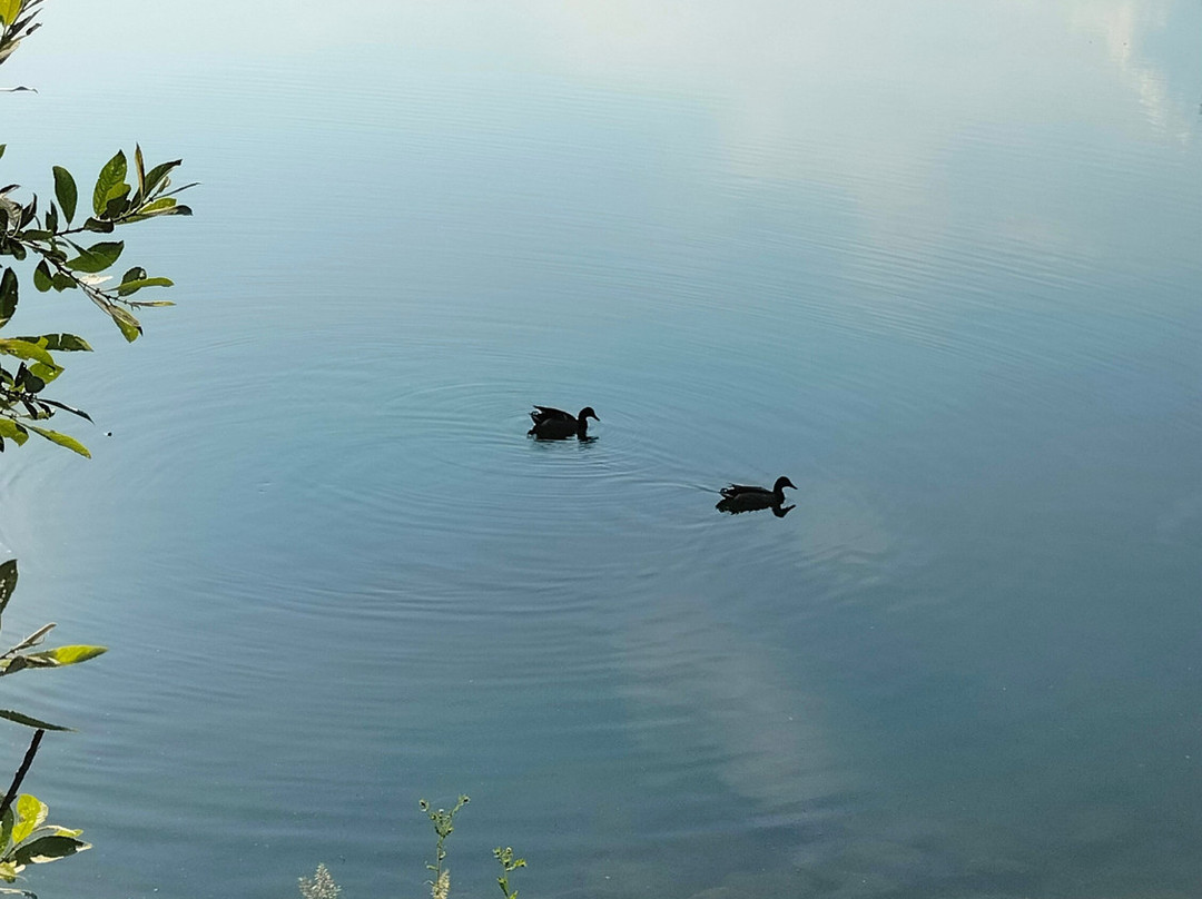 Lago di Bertignano