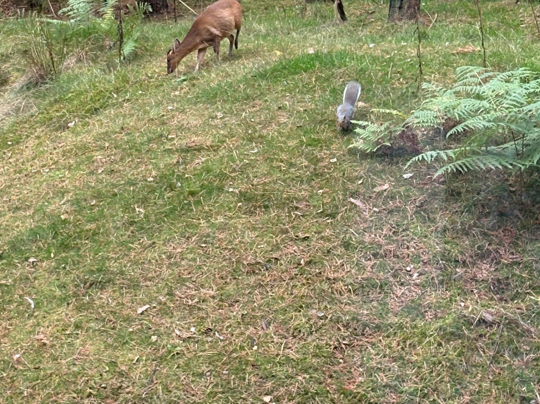 Center Parcs Woburn Forest主图