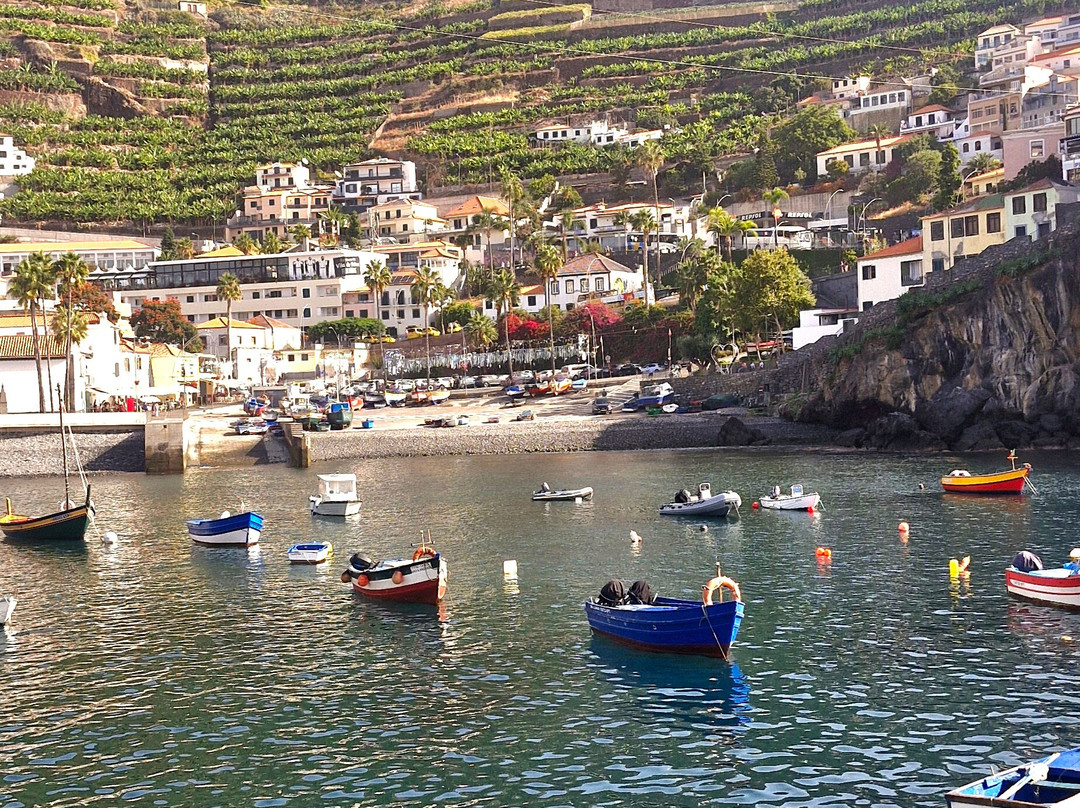 The Câmara de Lobos promenade-马德拉群岛必去景点