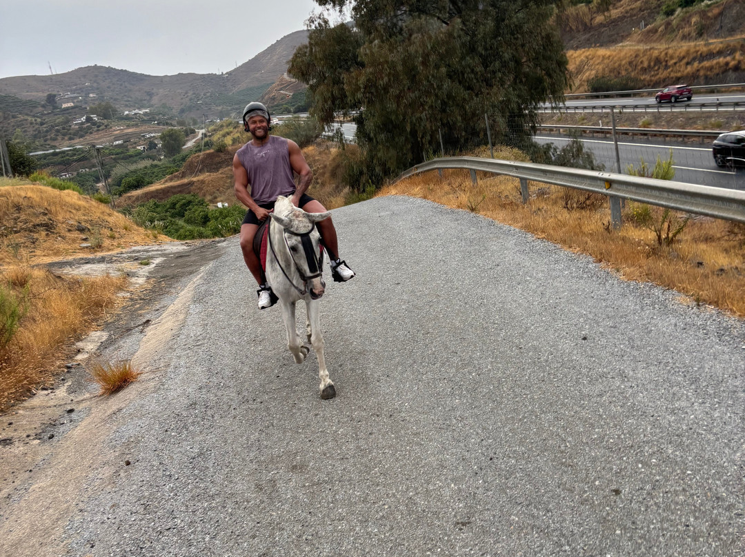 Andale Riding Nerja-内尔哈必去景点