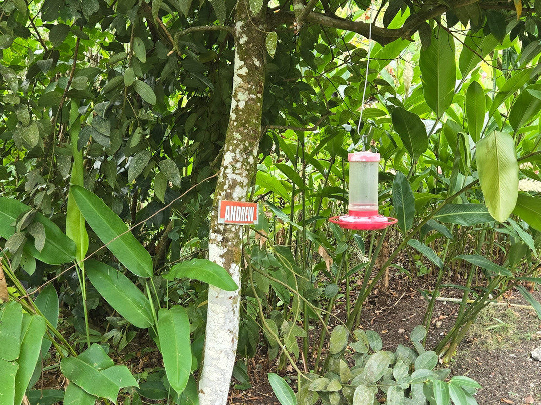 Sun Valley Plantation Hummingbird Garden-奥乔里奥斯必去景点