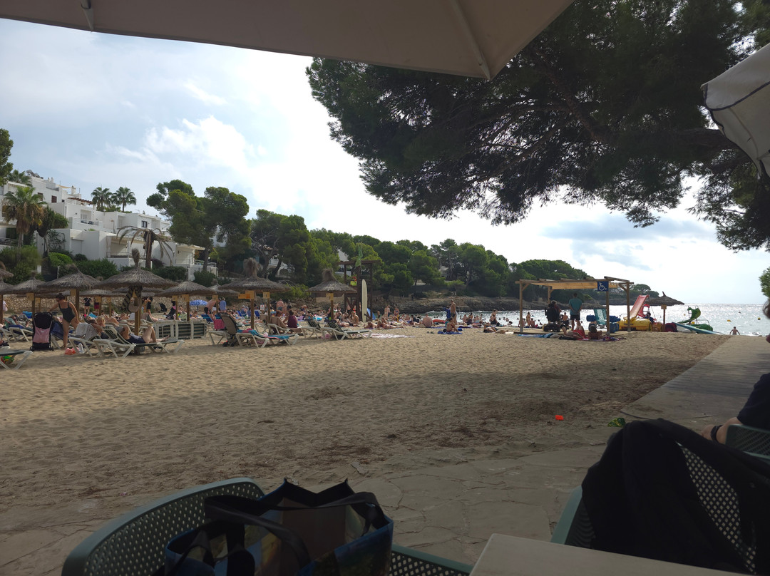 Playa Cala Gran-卡拉多尔必去景点
