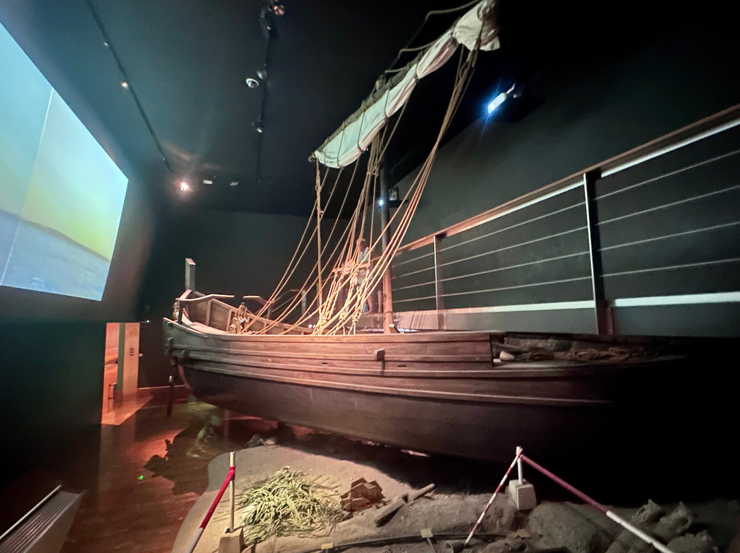 MARQ Museo Arqueologico de Alicante-阿利坎特省必去景点