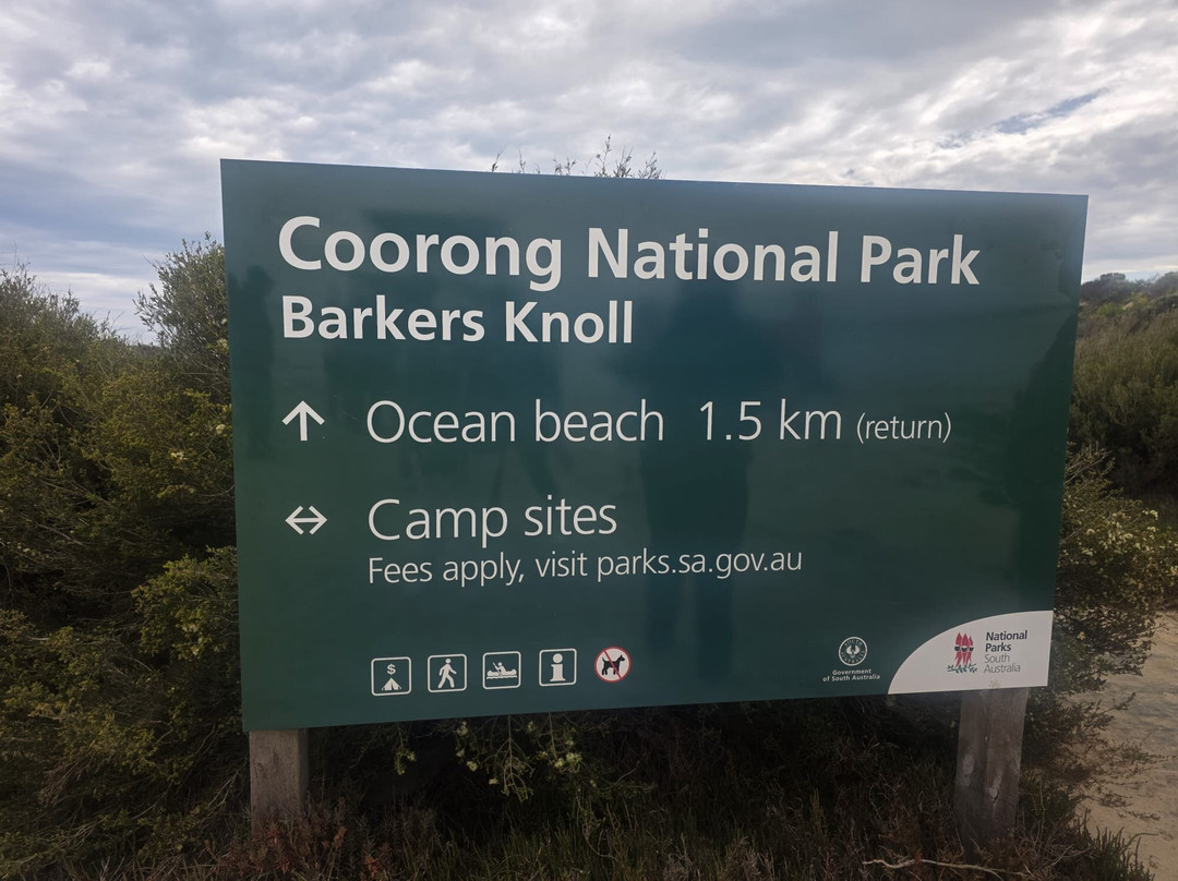 Spirit of the Coorong Cruises-Goolwa必去景点