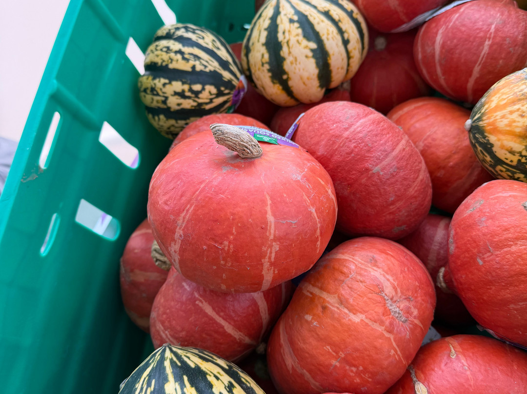 PYO Pumpkins-罗契斯特必去景点
