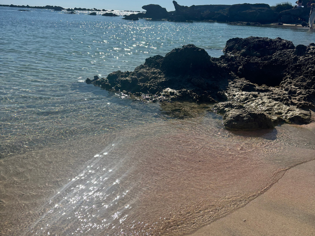 Elafonissi Beach-拉格尼西必去景点