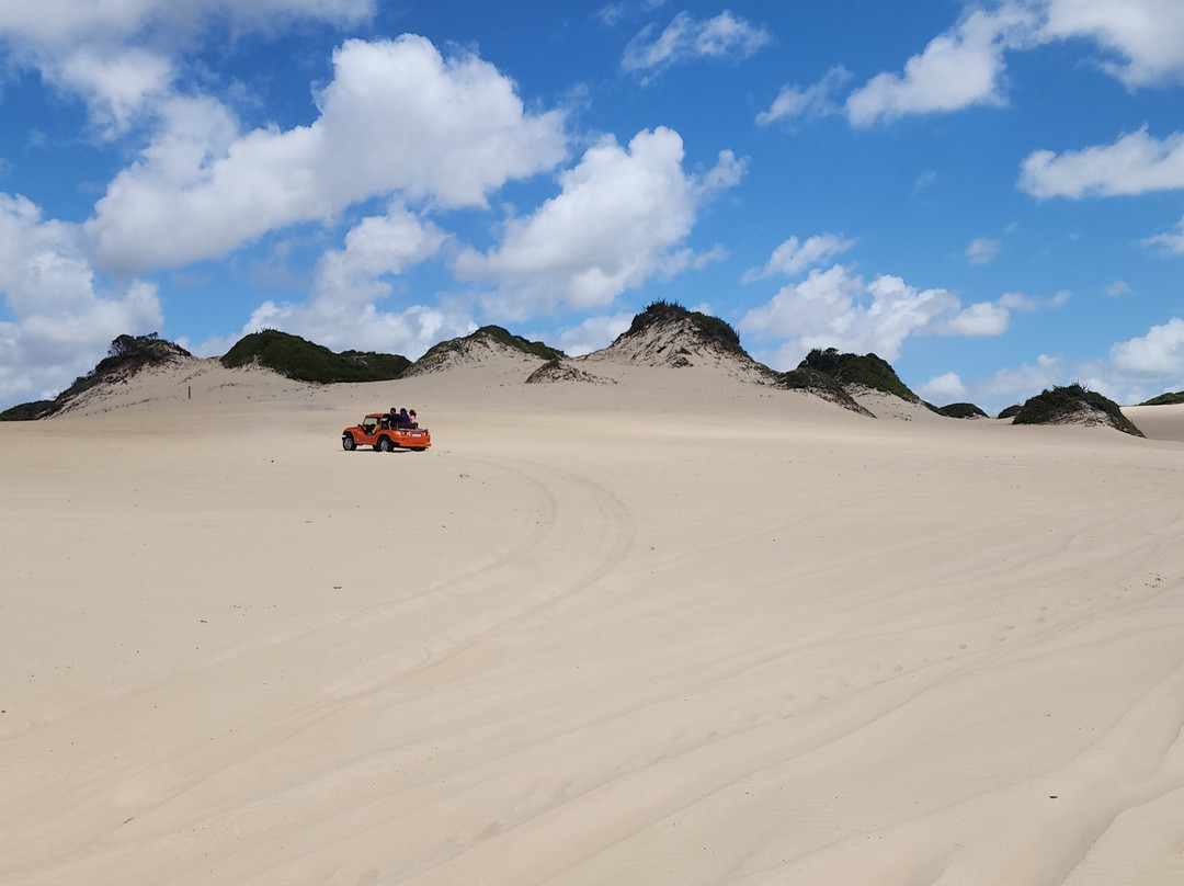 Dunas de Genipabu-Natal必去景点