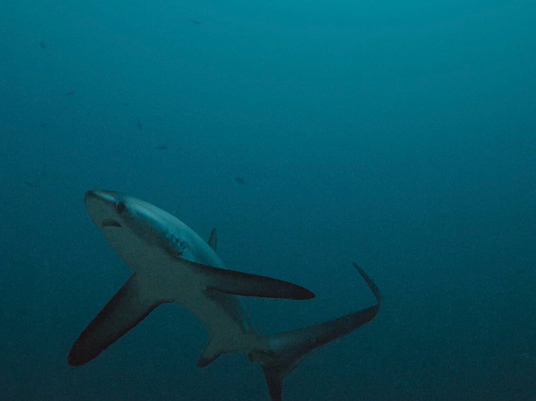 Scuba Butler Fuvahmulah-Fuvahmulah必去景点