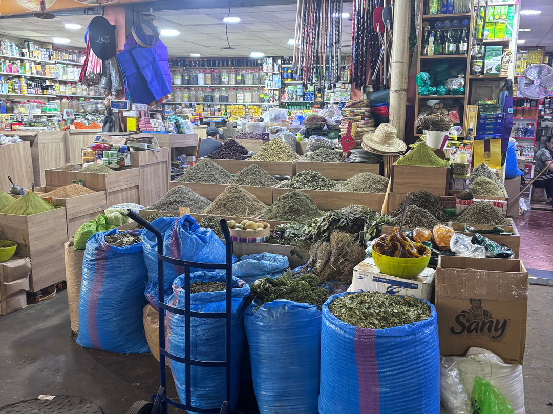 Souk El Had d'Agadir-阿加迪尔必去景点