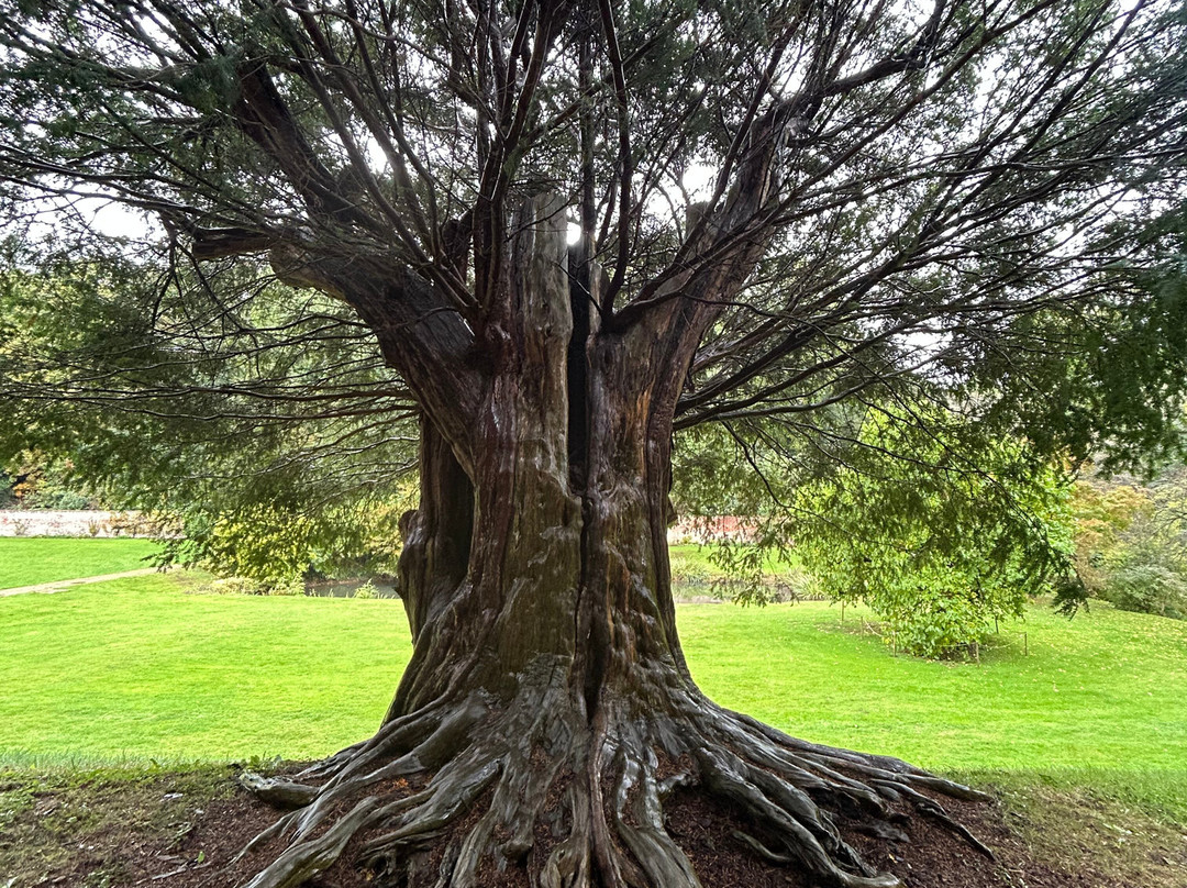 Upton House & Gardens-Ratley and Upton必去景点