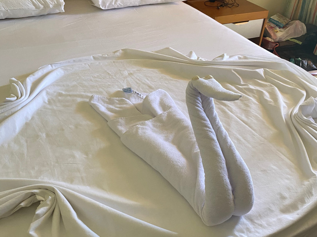 Viking Park Hotel & Spa