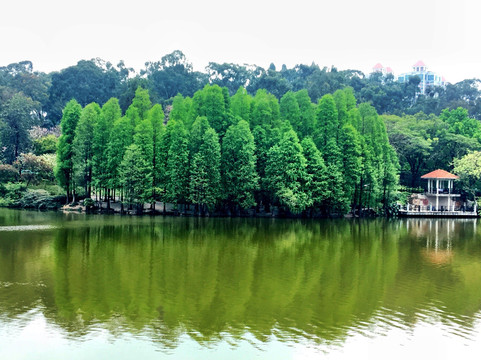 麓湖公园-广州市必去景点