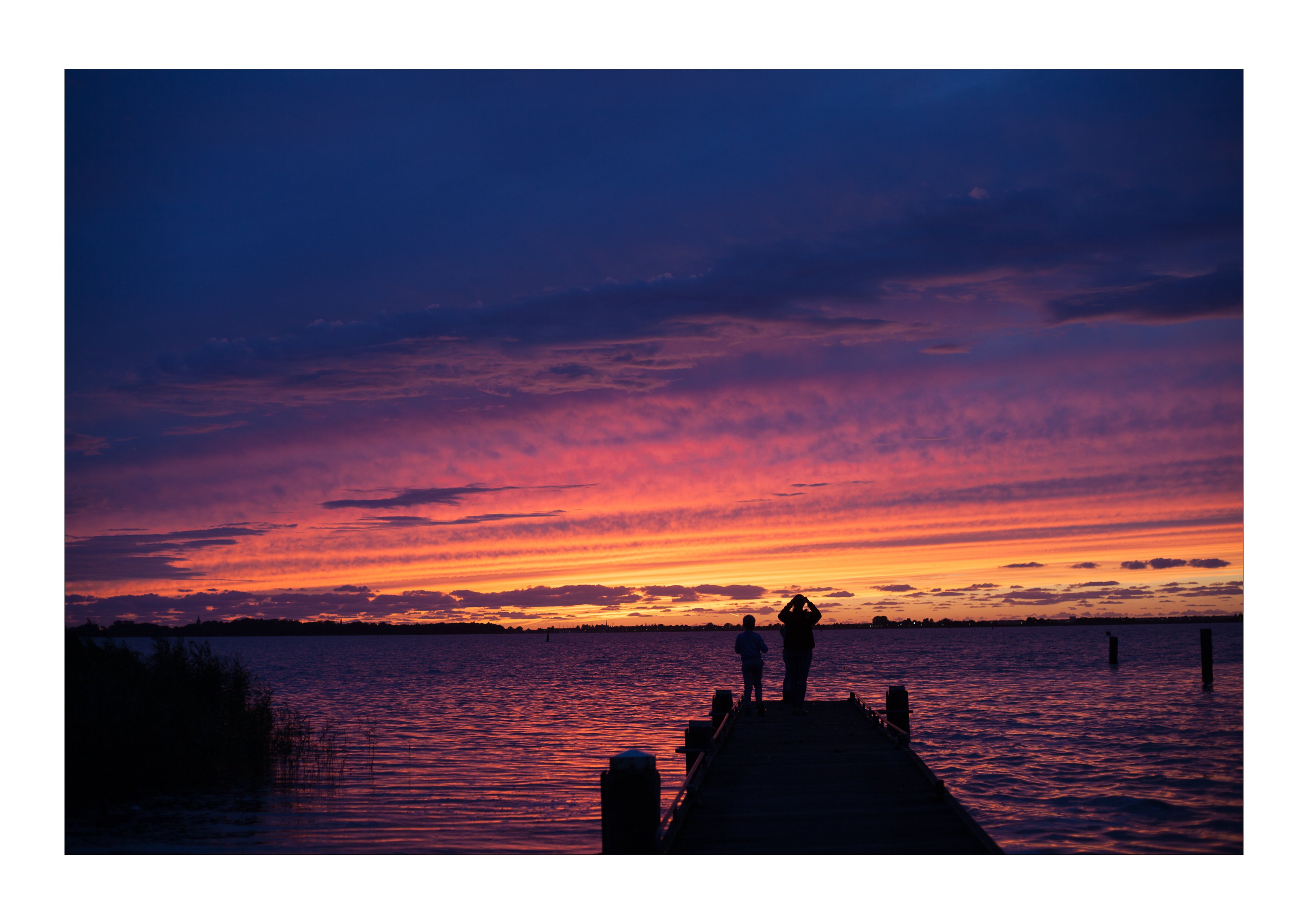 Hof van Marken-官方