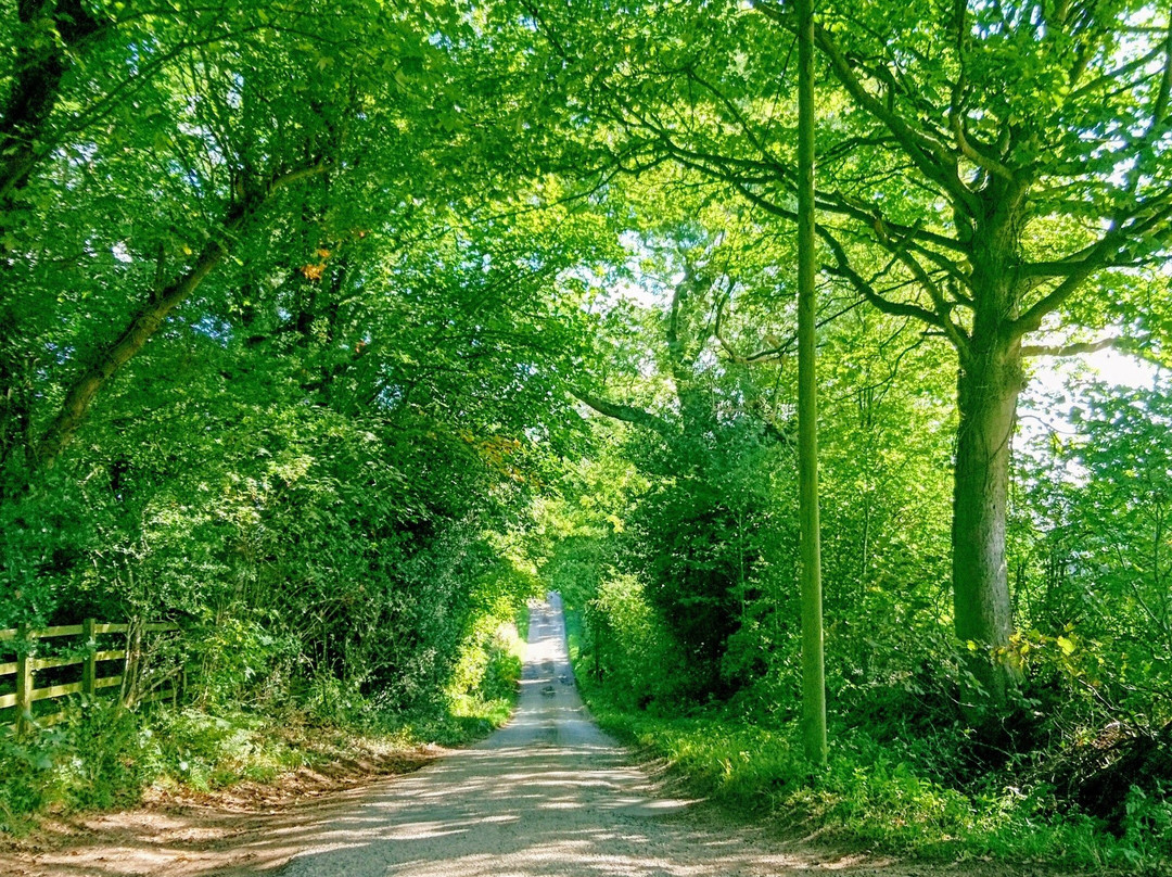 Harrogate Country B&B