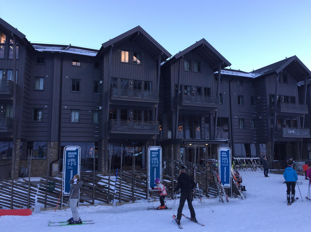 Hemsedal酒店住宿-Alpin Lodge