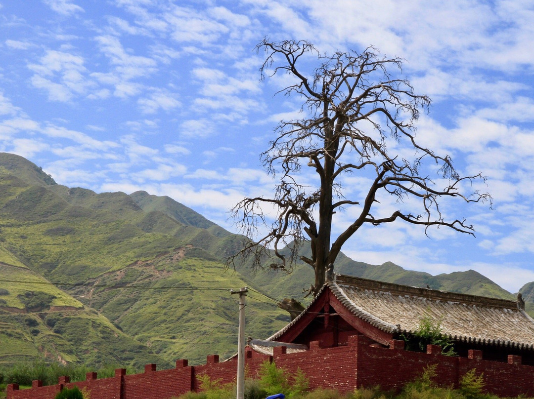 忻州公主寺-繁峙县必去景点