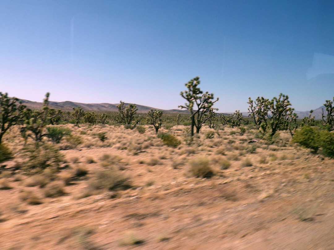 Mountain Pass旅游景点-Mojave Desert