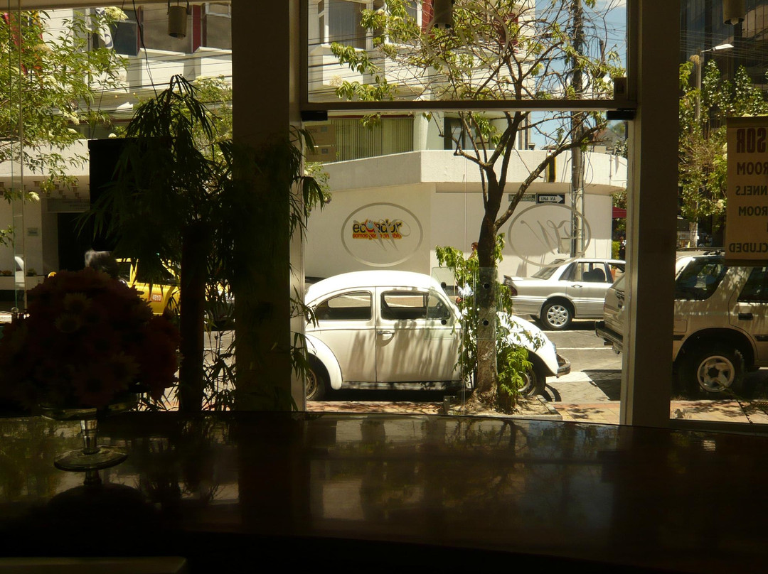 Nayon酒店住宿-Windsor Hotel