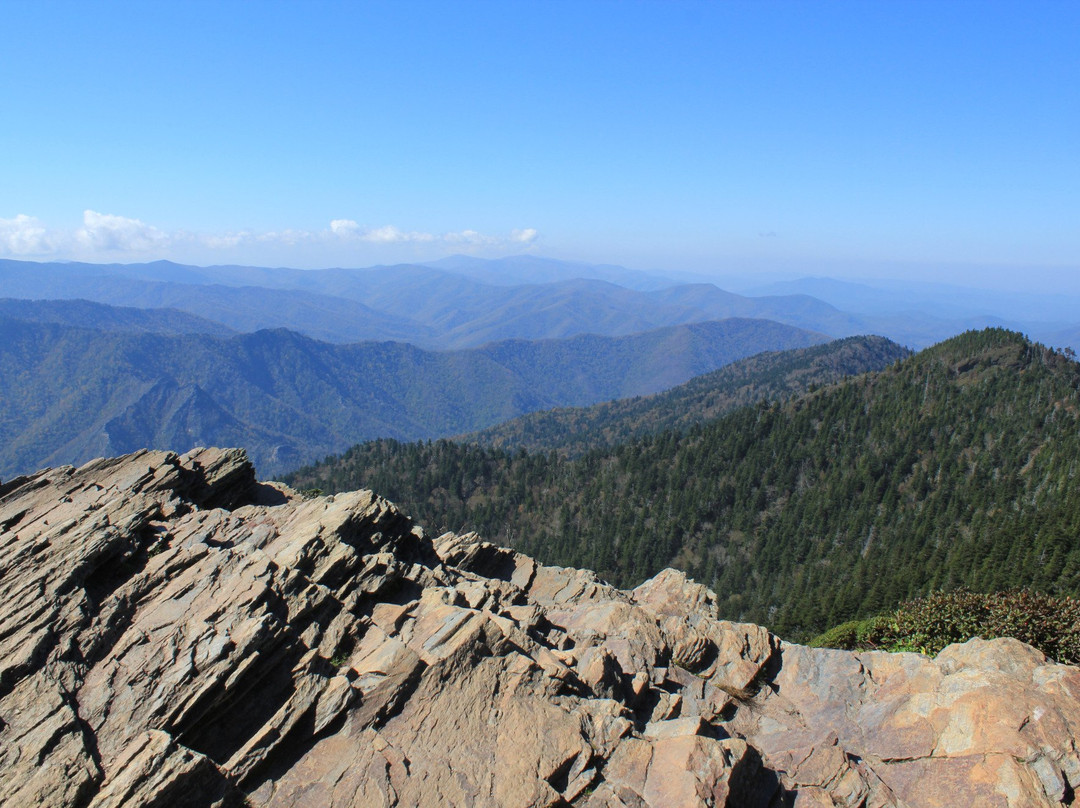 Mount LeConte景点图片