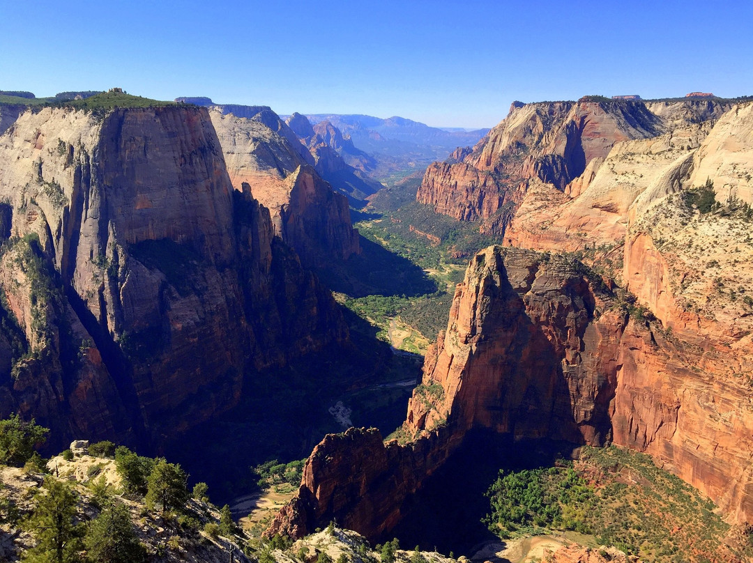 Observation Point-锡安国家公园必去景点