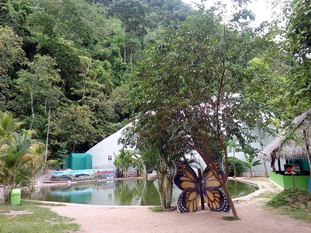 Mariposario Zhaveta Yard
