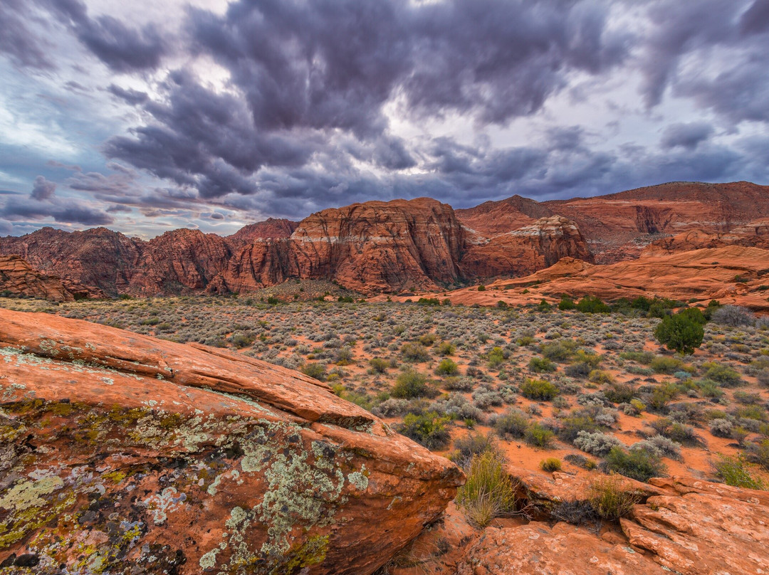 Snow Canyon eBike Rentals