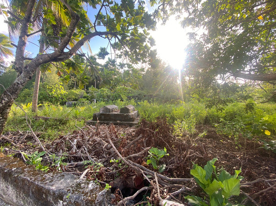 Julian Dashwood's House