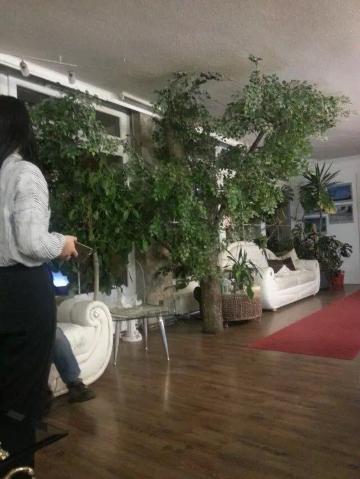 Alpinhotel Bergheim-客卧