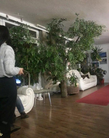 Alpinhotel Bergheim主图