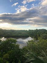 Pelican Island National Wildlife Refuge-维罗海滩必去景点