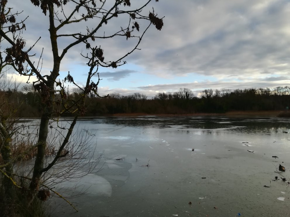 Rainton Meadows Nature Reserve & Visitor Centre-Houghton-le-Spring必去景点