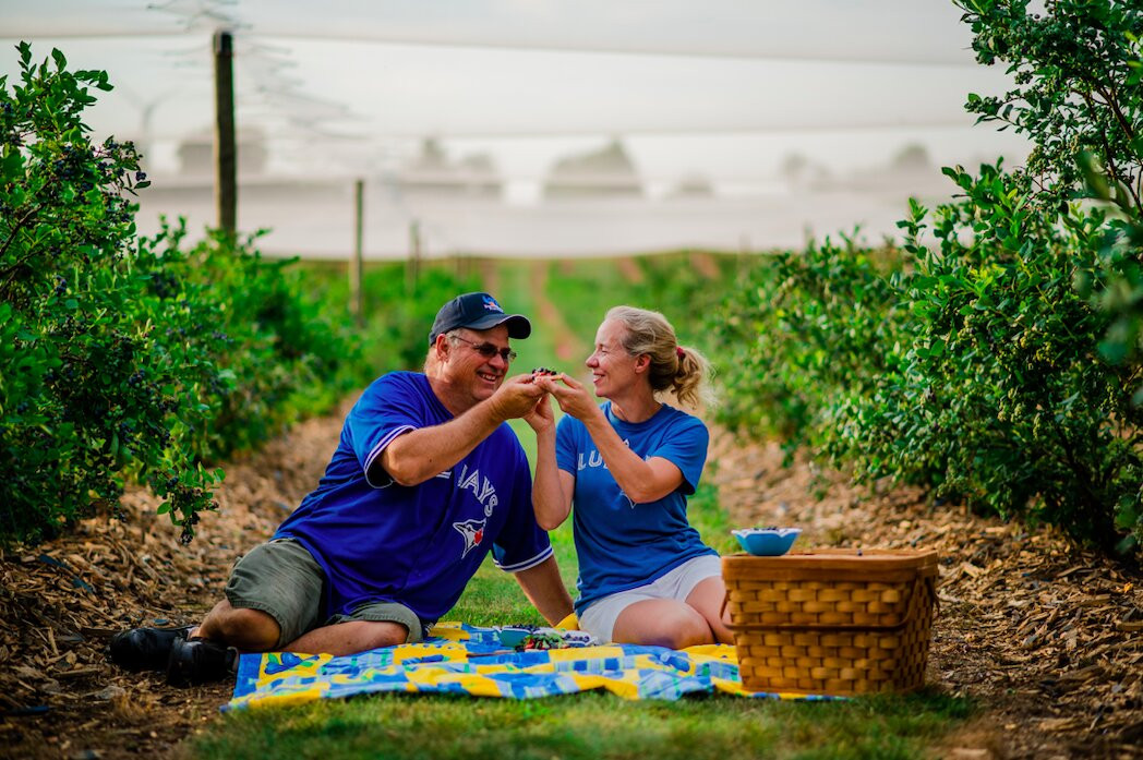 Berrylicious Fruit Farm