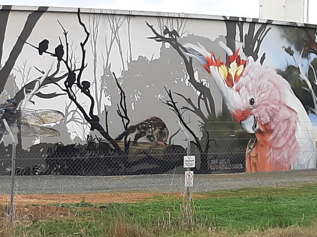 Kyabram Water Tank Art by Jimmy DVate-Kyabram必去景点