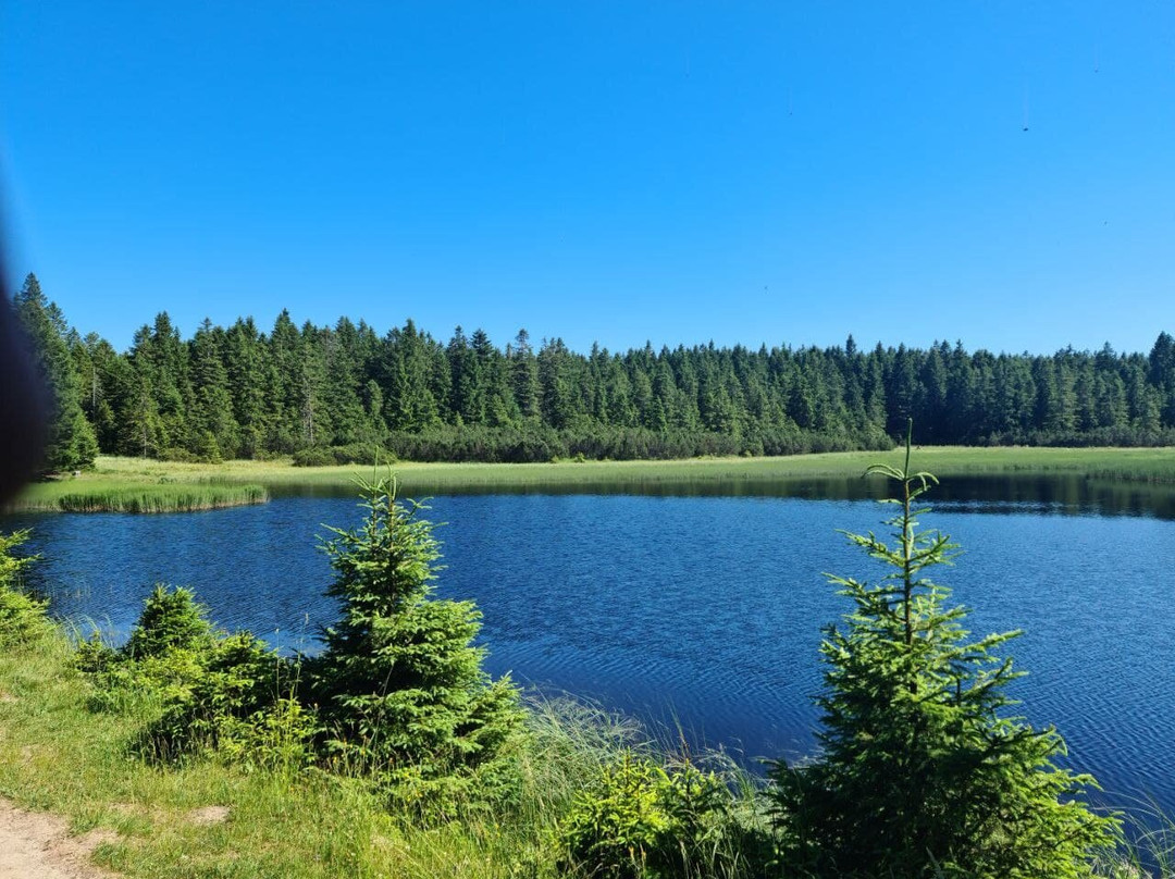 Black Lake