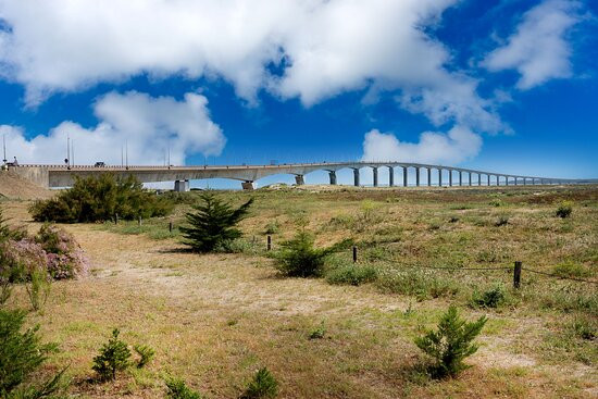 Pont Ile de Ré景点图片