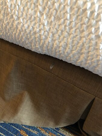 Fairfield by Marriott Inn & Suites Toronto Brampton主图