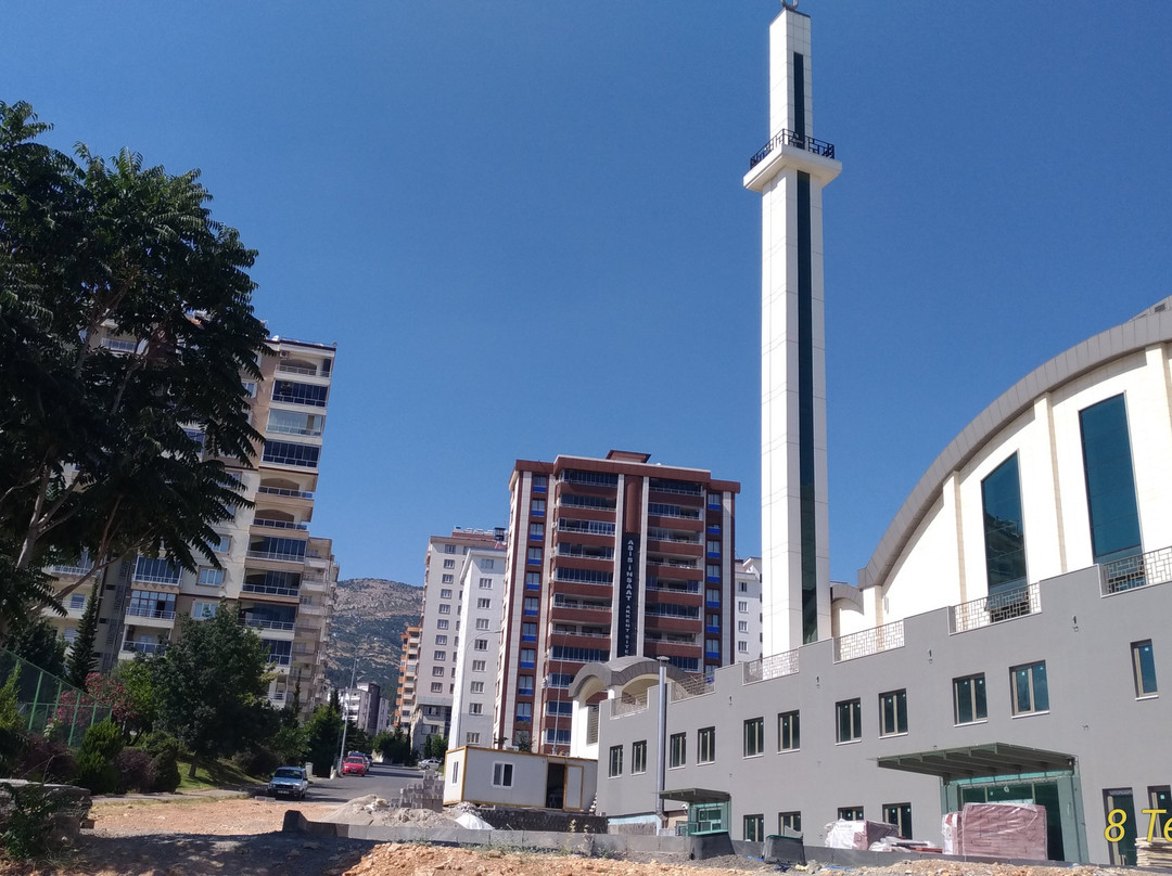 Zekeriya Tanriverdi Camii景点图片