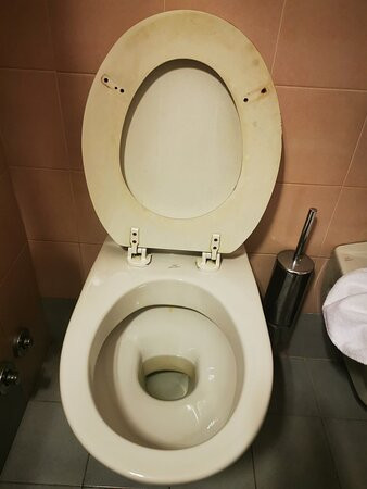 Hotel Albergo Aurora主图