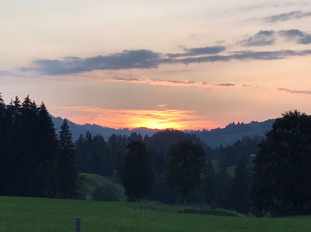 Alpenrose Bumbach