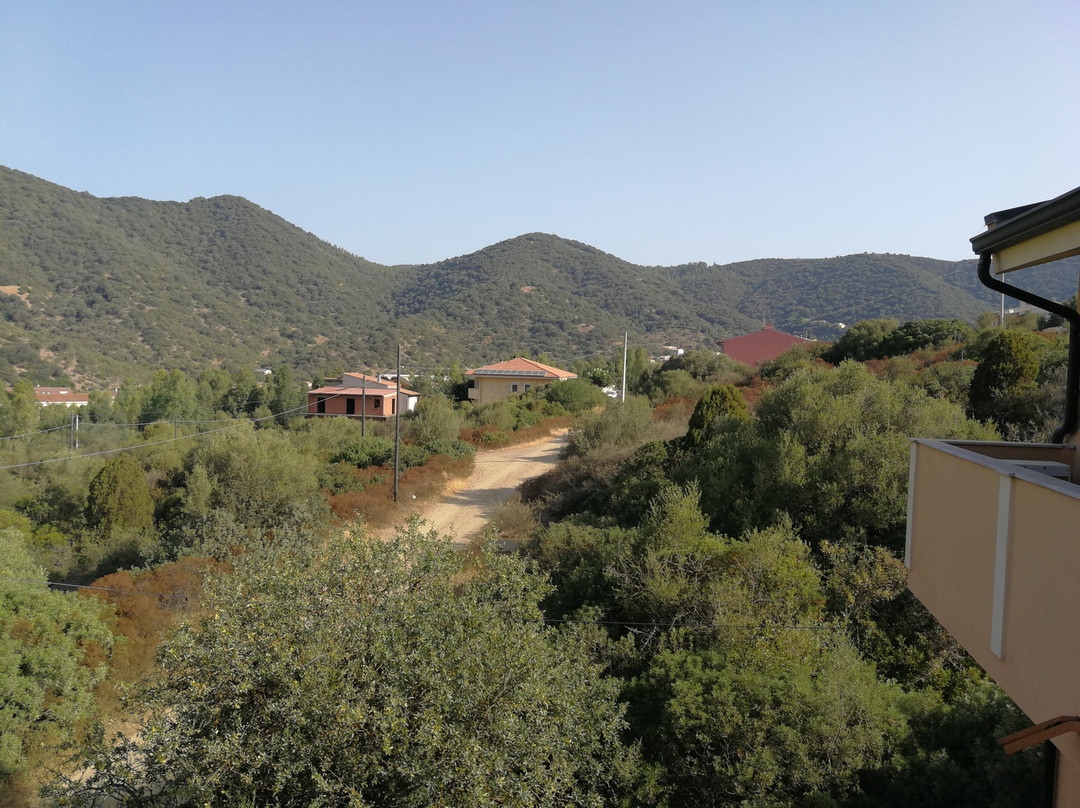I Ginepri