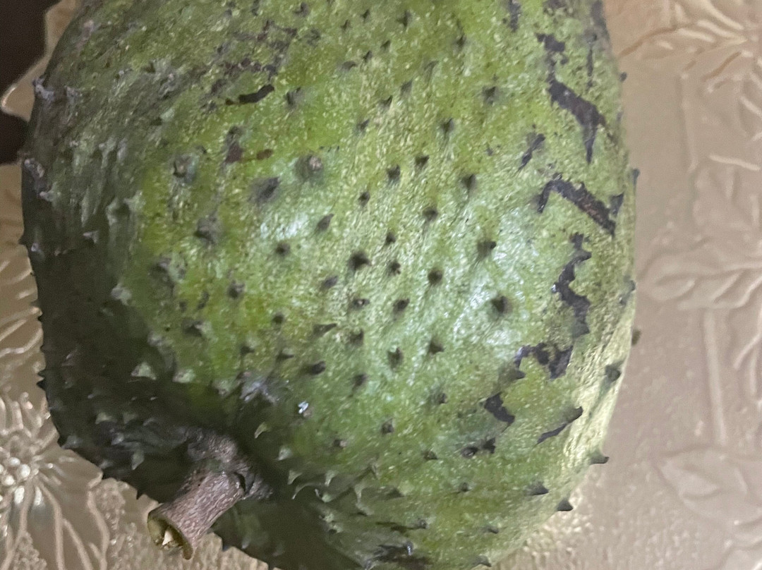马尔福兰扎公寓酒店