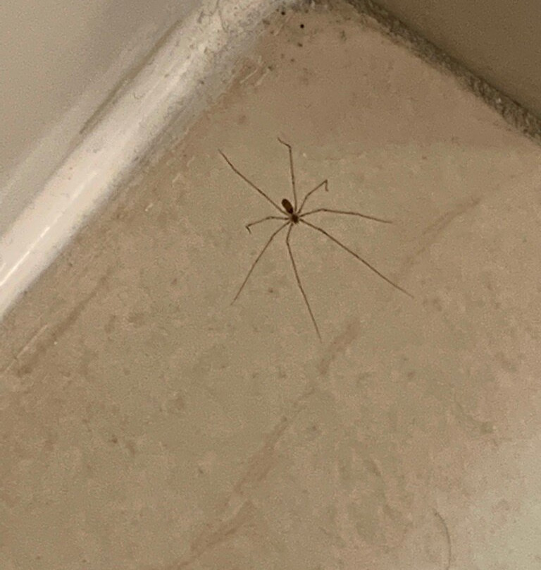 Courtyard by Marriott Philadelphia Great Valley/Malvern主图