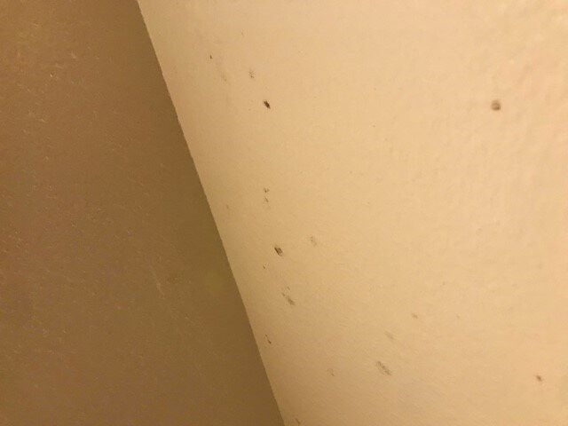 Quality Inn Madras主图