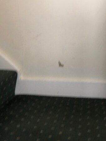 克里夫蒙特酒店主图