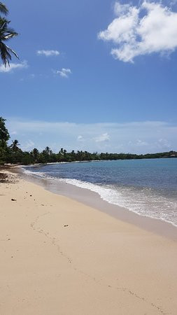 Plage des Salines景点图片