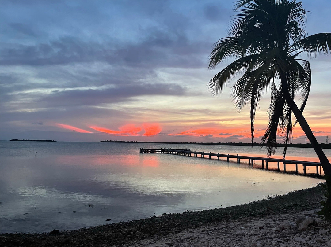 Kingston Bight Beach Bar