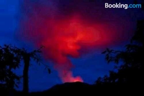 Volcano Jungle View Tree house